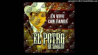Watch El Potro De Sinaloa Desde Que Llegaste feat Banda Los Pioneros video