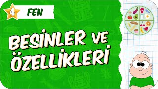Besinler Ve Özellikleri 4. Sınıf Fen