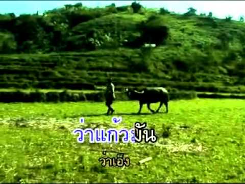 สาวขุ๊ดปู๋ แก้ว ลอดฟ้า เพลงคำเมือง.flv thumb