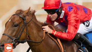 Moniques Pick Six This Weekends Hottest Horse Racing Betting Picks