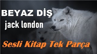 Beyaz Diş Jack London L Sesli Kitap Tek Parça
