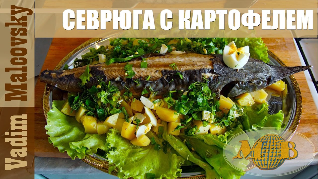 Севрюга в духовке целиком рецепт Севрюга в духовке целиком рецепт