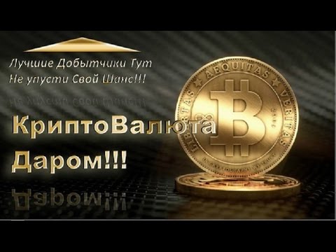 Сколько весит биткоин кошелек 2018 Сколько весит биткоин кошелек 2018