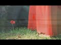 Le Secret Video preview