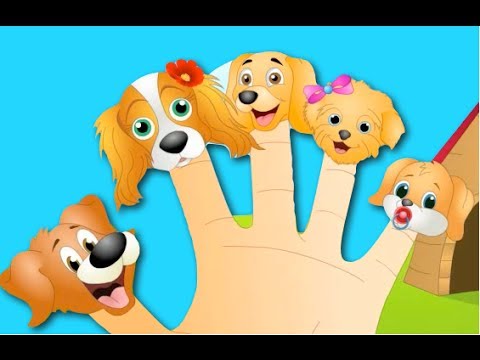 The Finger Family Dog Family Nursery Rhyme | Kids Animation...