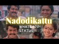 Vaishaka Sandhye | Nadodikattu Whatsapp Status 💕