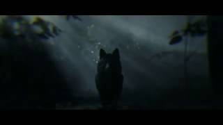 Red Dead Redemption 2 - Arthurs Coyote Vision