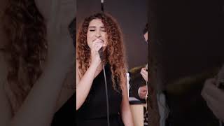 Desert Rose - Sting Cover