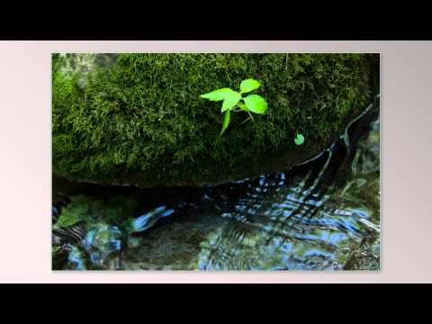 The River Of Suffering Video