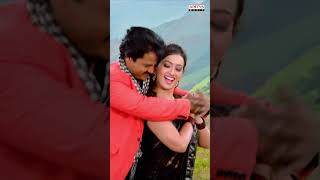 Song Movie
