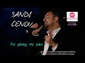 Sandi