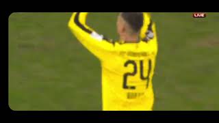LL_yY_ZeaYY Video Image