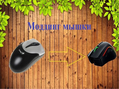 Как сделать свою мышку бесшумной Как сделать свою мышку бесшумной