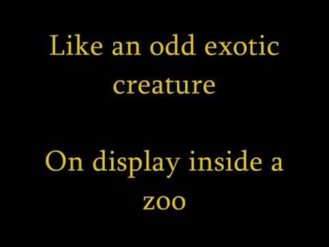 I Am Who I Am When I Am Alone [Instrumental] Video