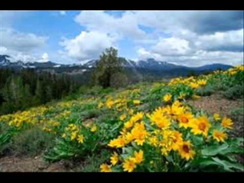 If God Is Dead.wmv