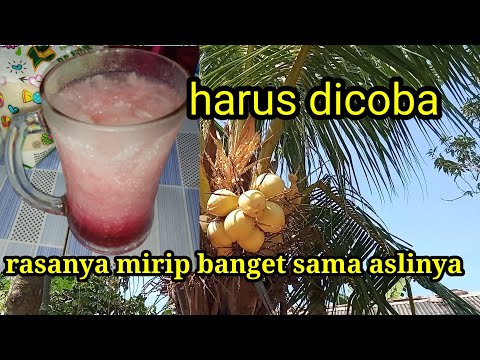 Es kopyor imitasi |takjil untuk berbuka puasa|