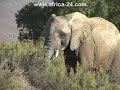 Aquila Private Game Reserve - Africa Travel Channel
