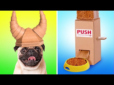 Coolest Dog Cardboard Crafts || DIY Viking Helmet And Food Dispenser From Cardboard