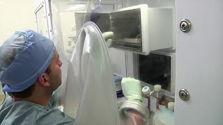 Tracheal Re-Growth And Manipulation In Biospherix Xvivo System X3
