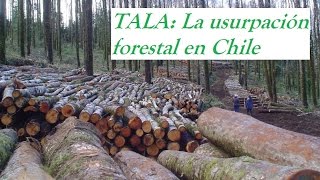 Tala La Usurpación Forestal En Chile Doental Completo