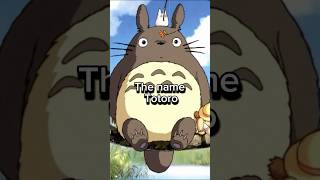 What Does Totoro Mean?