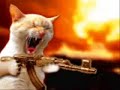Badass Cat With AK-47
