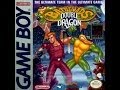 Battletoads And Double Dragon - Video Walkthrough