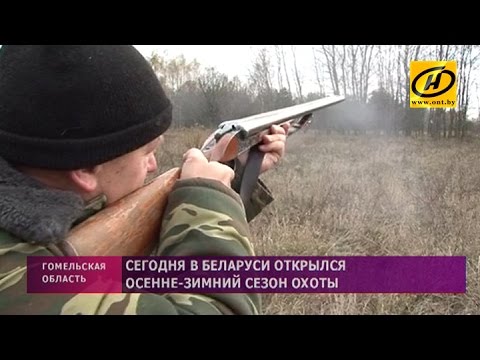 Новые правила охоты с нарезным 2018 Новые правила охоты с нарезным 2018