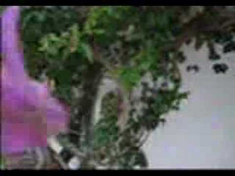 ... Kayden Kross Videos Page 1 – Kayden Kross Vid Clips – Kayden Kross