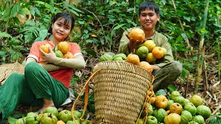 Accompanying A Poor Girl Tieu Ca To Harvest Giant Wild Mangosteens To Sell At The Market