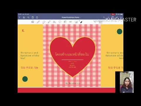 โครงสร้างและหน้าที่ของใบ ชั้นประถมศึกษาปีที่4 by ครูพี่นัดตี้