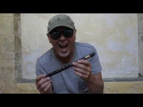 Roy Mcmanus GT Session Whistle