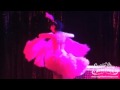 Sugar Blue Burlesque - A'dora Derriere - Flamingo Act