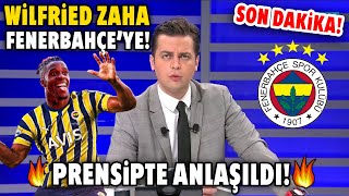 Son Dakika Wilfried Zaha Fenerbahçeye Prensipte Anlaşma Sağlandı F.bahçeden Yılın Bombası