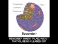 Chapter 5 Lipids