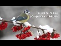 02.12.2015 Свобода от греха (Софония 1:14–2:3)