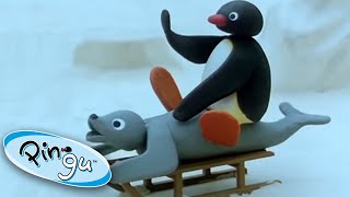 Play Day With Pingu Pingu Official Cartoons For Kids