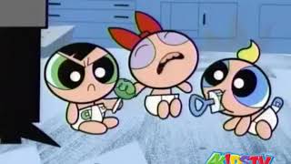 Powerpuff Girl Babies Shorts