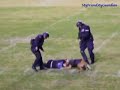 K9