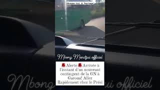 Mbong Alerte Arrivée À Linstant Dun Nouveau Contingent De La Gendarmerie Nationale À Garoua