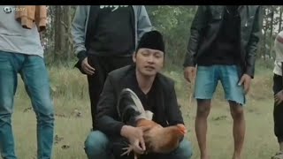 Sabung Ayam- Akeloy Peoduction //Desa Pacenan