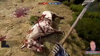 Jabroneys Second Peta Violation