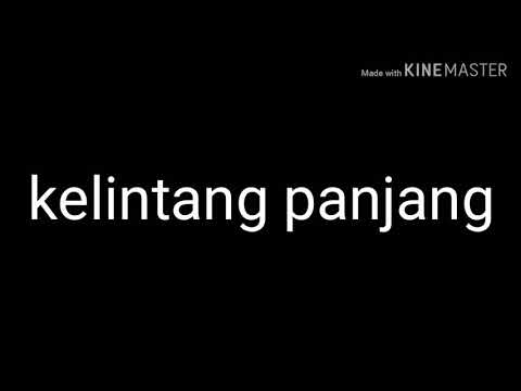 Kelintang panjang