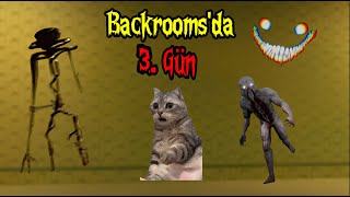 Bir Kedinin Günlüğü İle Backrooms 3.Bölüm Mini Dizi