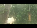 rain