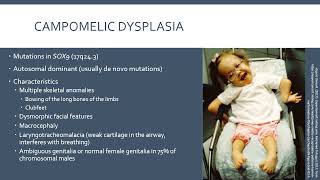 Week 7 - 1 Reproductive System Part 1