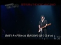 佐野元春& THE HOBO KING BAND (ダージリン)「ニューエイジ」／共鳴野郎LIVE.