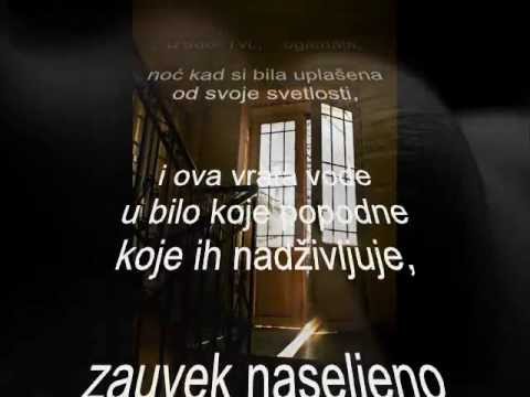 Never Video