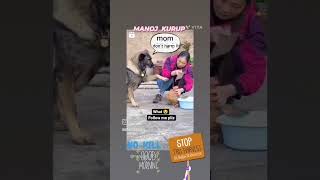Dog Stops Lady From Killing Chicken