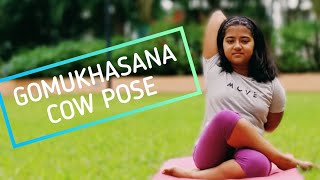 Gomukhasana Cow Pose Yoga For Kids